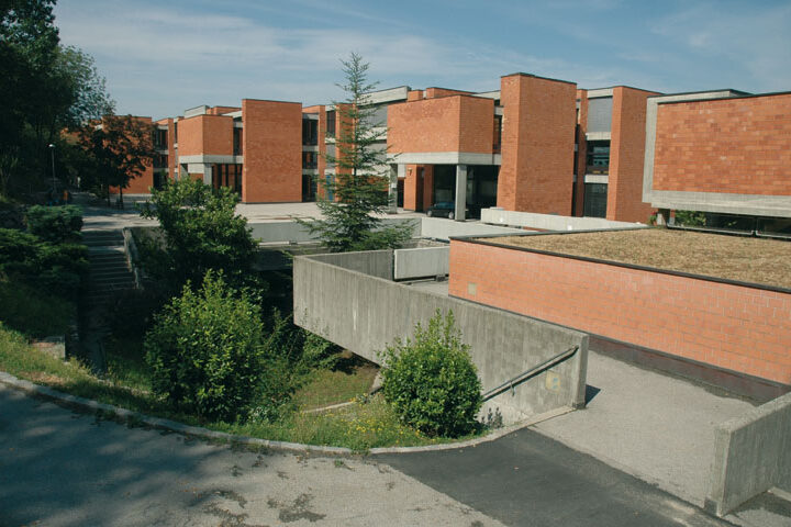 Canavee